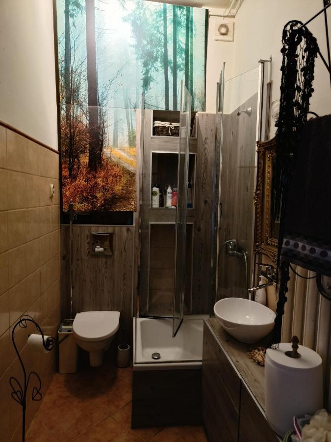 イェレニャ・グーラDom Otwartyアパートメント 部屋 写真